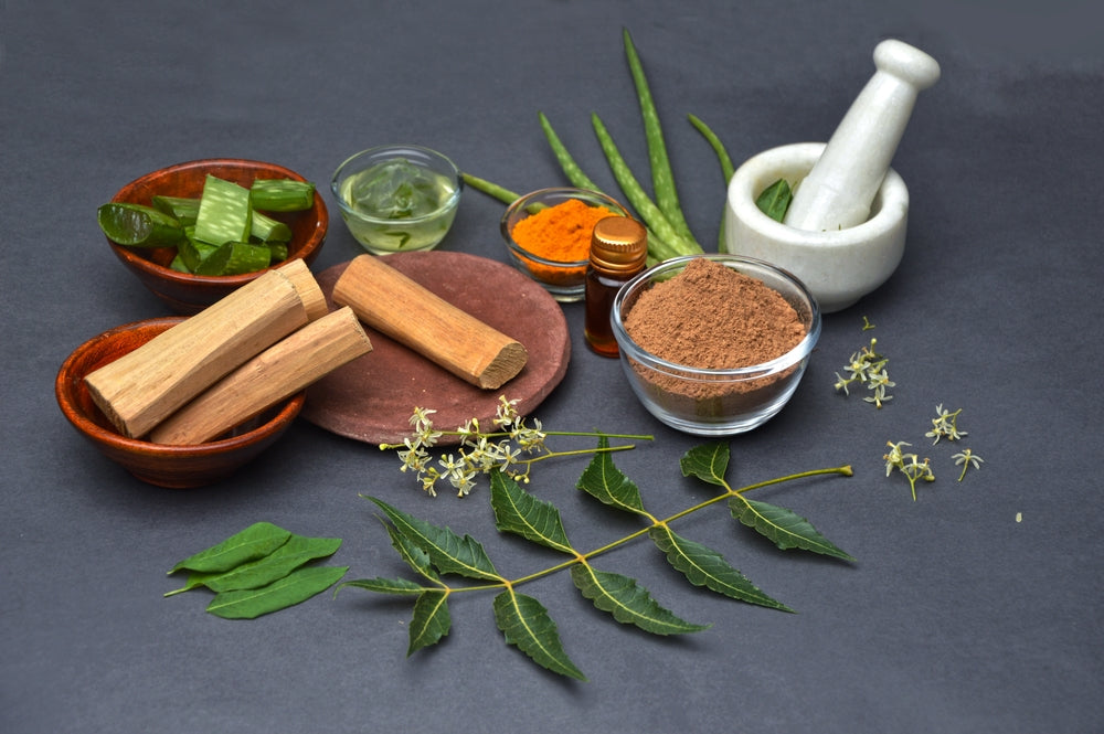 Top Ayurvedic Herbs for Stronger, Thicker Hair