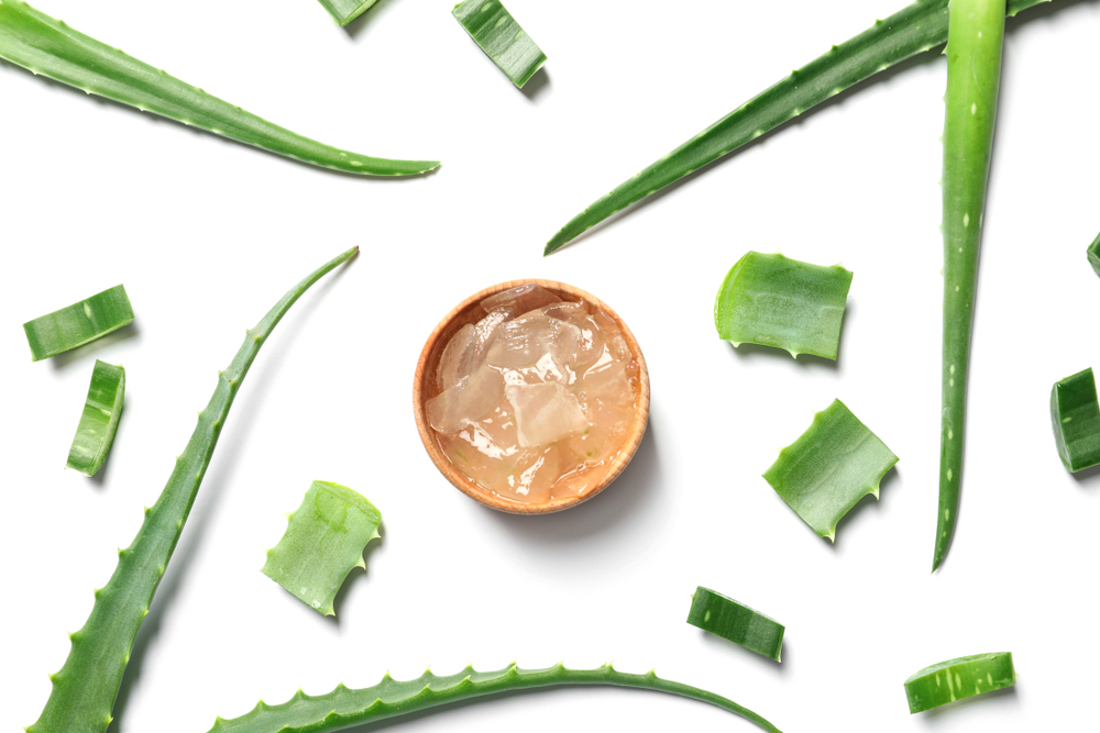 The Power of Aloe Vera in Everyday Skincare
